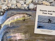 Coyote Trap book