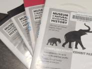 set of four exhibit passes to the University of Oregon Museum of Natural and Cultural History, fanned out so all are visible