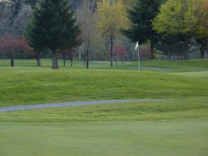 golf course fairway picture
