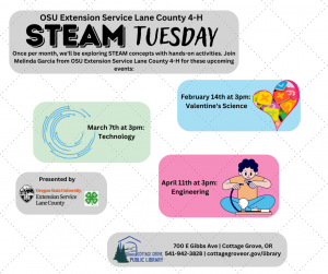 STEAM Tuesdays