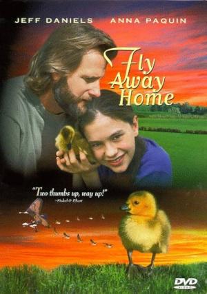 film cover