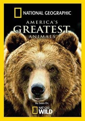 film cover