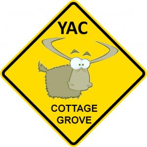 Youth Advisory Council Logo