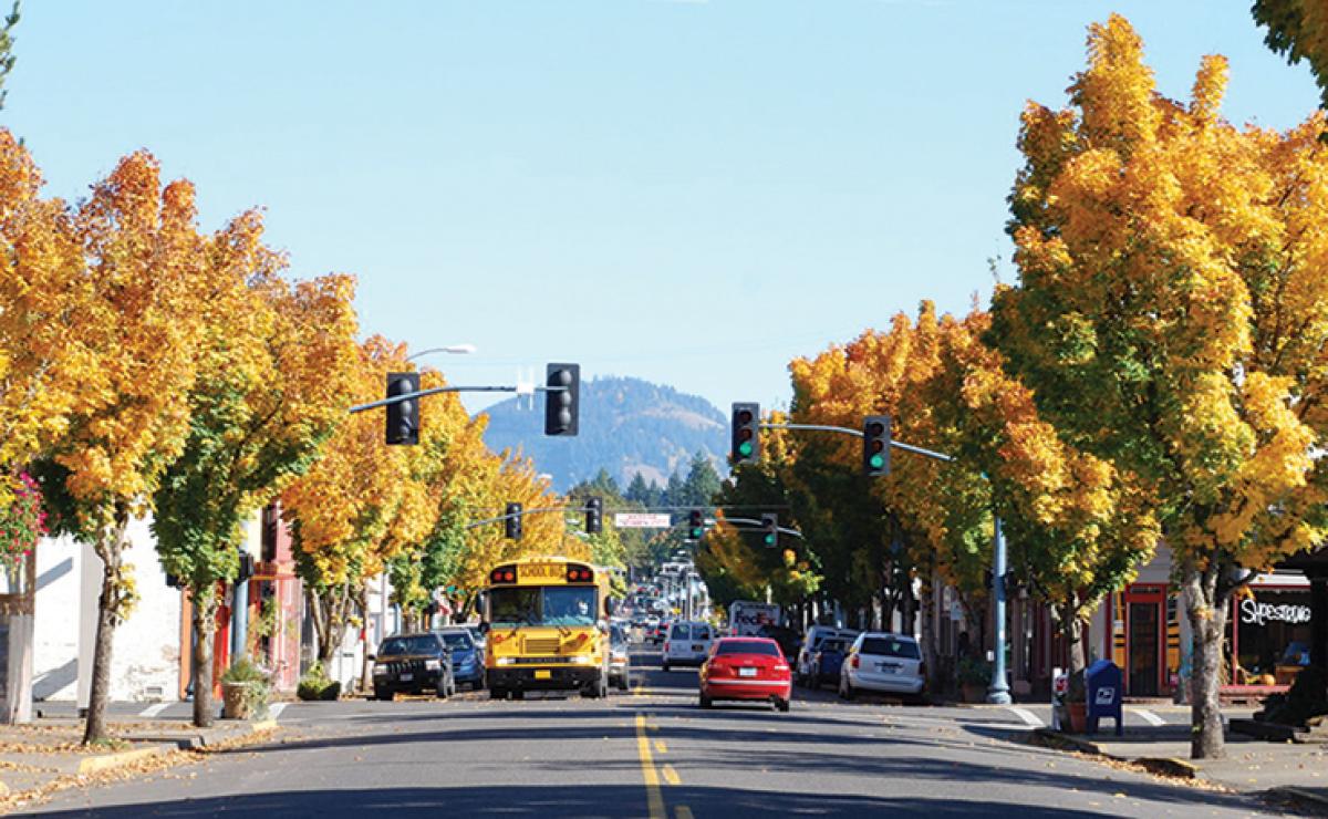 Cottage Grove Main Street - Autumn