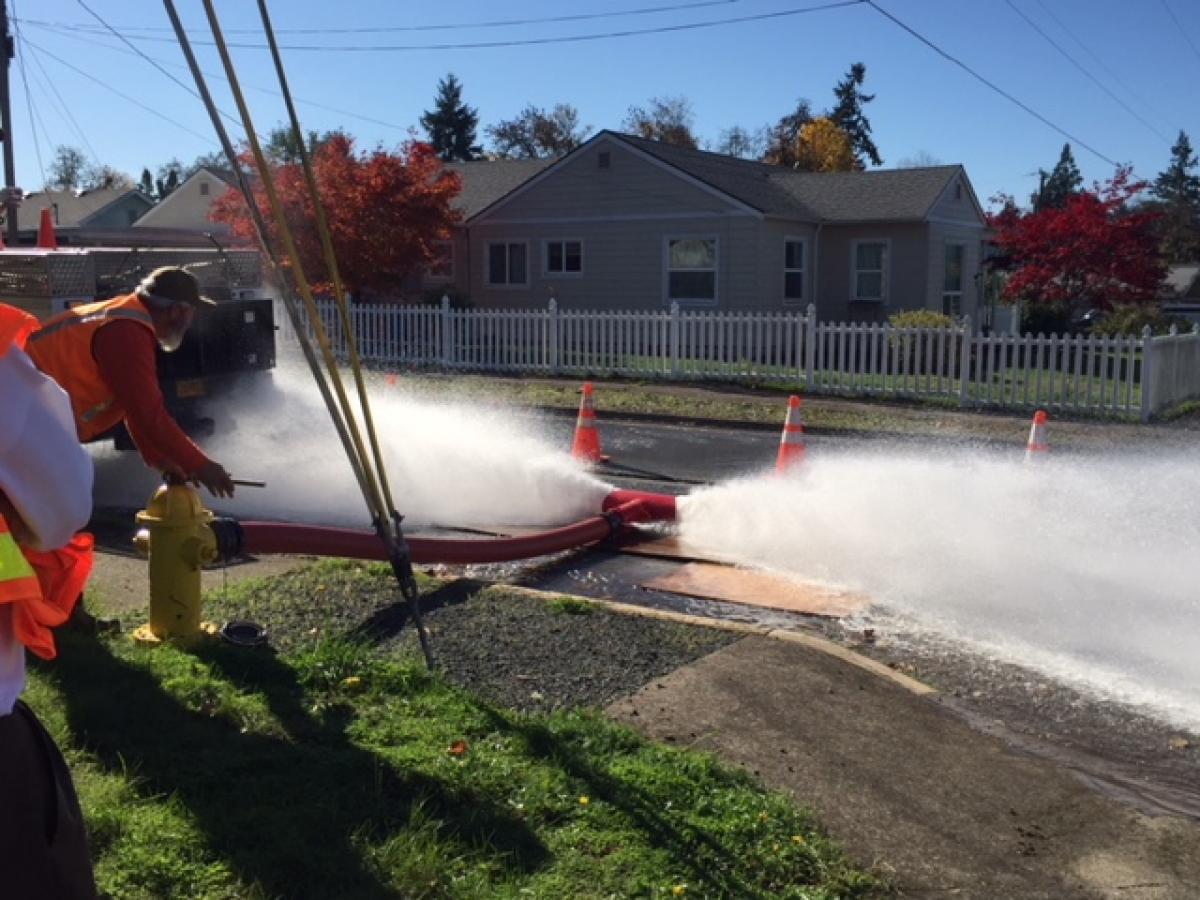 Hydrant flushing image